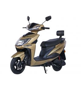 Maxxter SPEEDY GTS (gold)