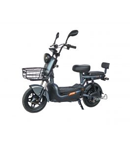 Maxxter E600 (Silver)
