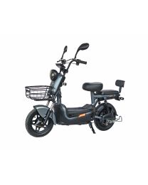 Maxxter E600 (Silver)